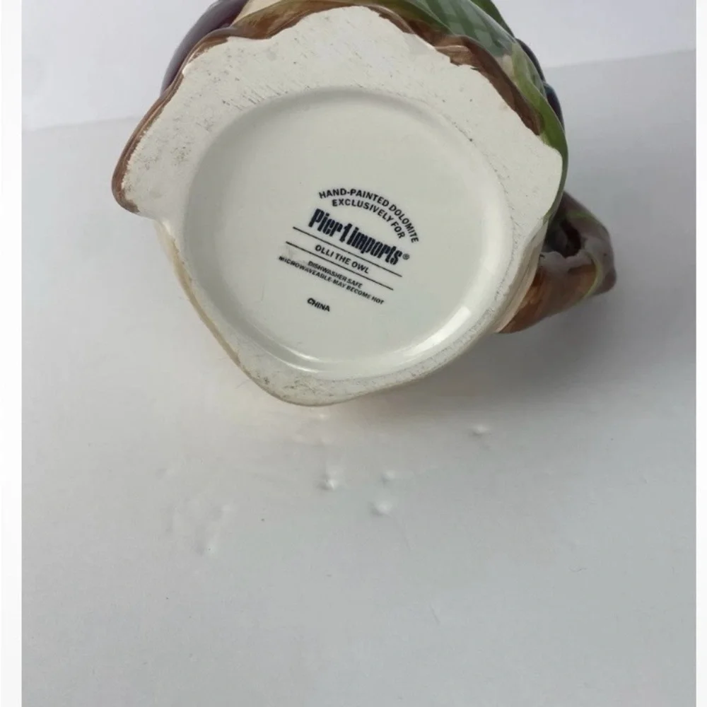 Pier 1 Imports Hand Painted Owl Coffee Mug Ceramic